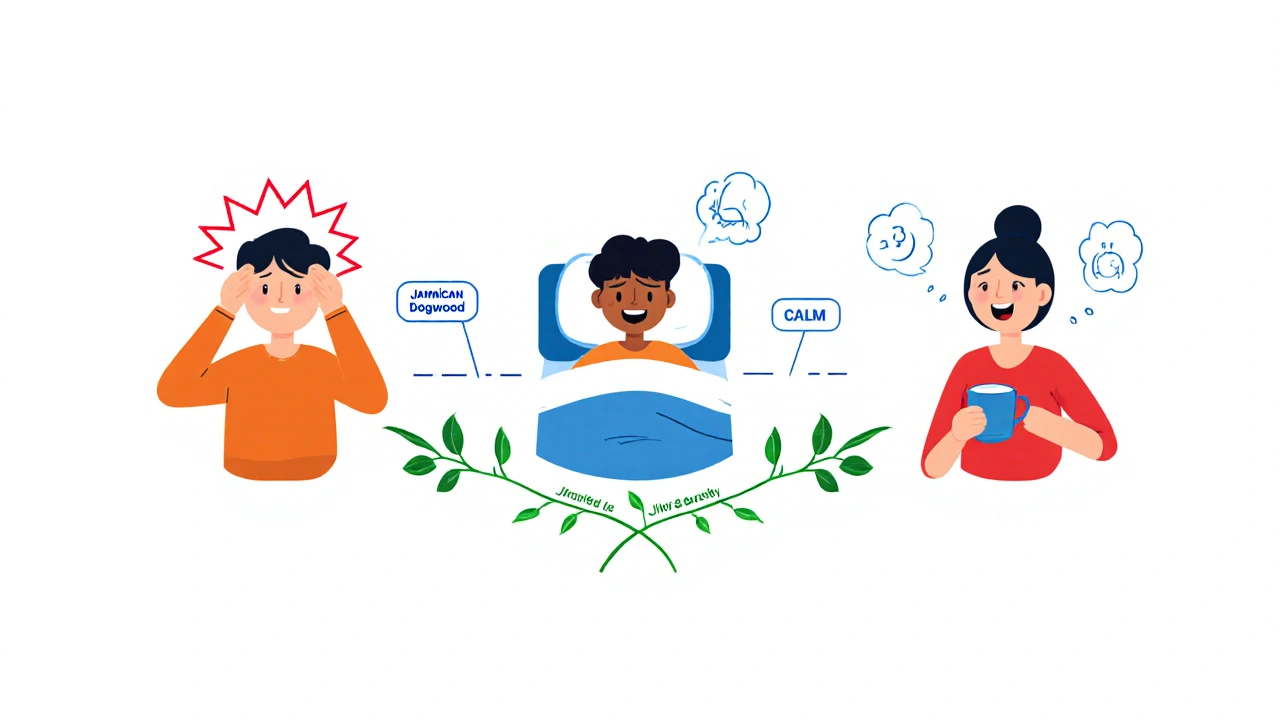 Three people transformed by Jamaican Dogwood from stress to calm in flat illustrated style.