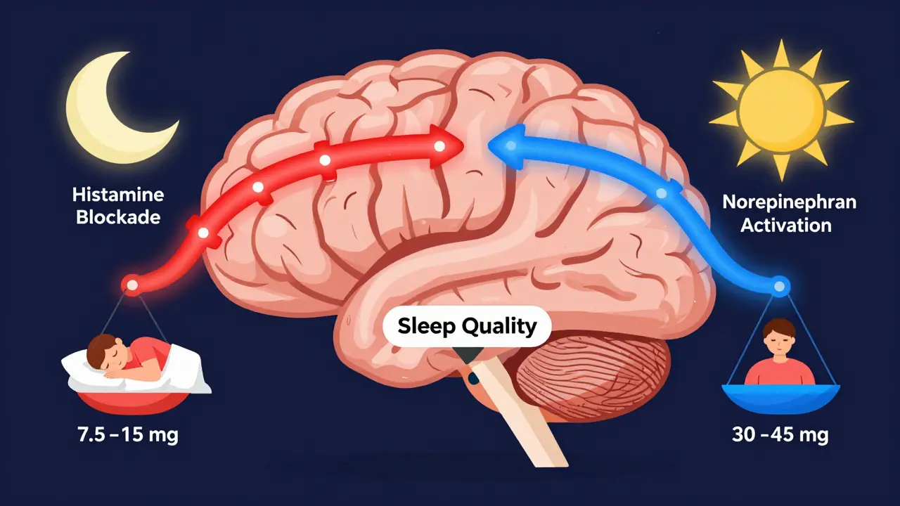 Schematic brain illustration showing how low and high doses of mirtazapine affect sleep and alertness pathways.
